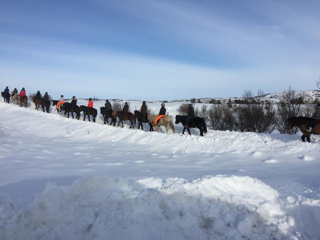 蓝色泻湖附近可爱度假屋 Hafnarfjörður 外观 照片